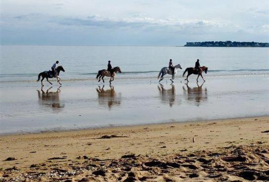 Esprit Cottage "4 Etoiles" Sables D'Or Les Pins Plurien Екстер'єр фото